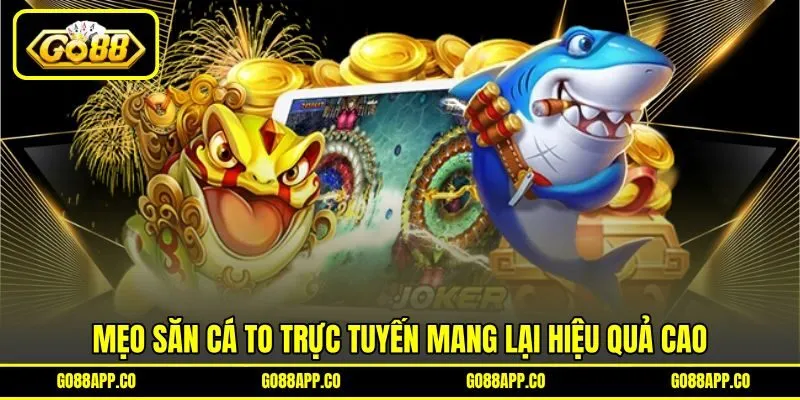 Mẹo săn cá to trực tuyến mang lại hiệu quả cao